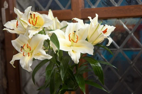 Bouquet de lys blancs fins — Photo
