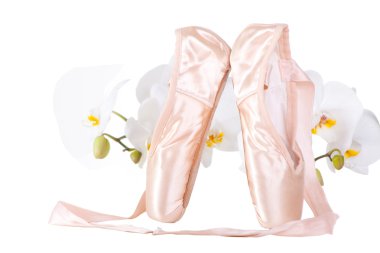 Ballet pointes with orchids on isolated white clipart