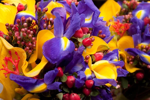 Bukett med violett Iris och gula callas — Stockfoto