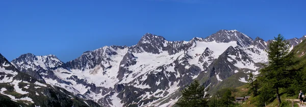 Panorama des Alpes oetztales — Photo