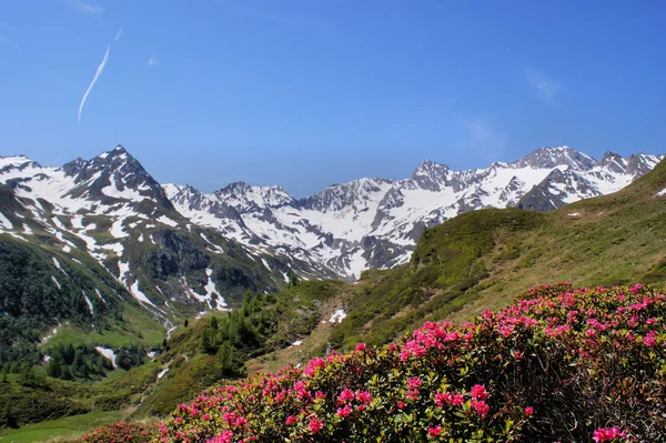 Horský svět v Jižním Tyrolsku — Stock fotografie