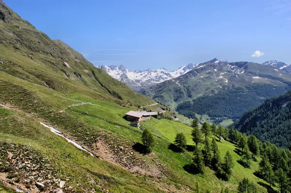 Cabaña alpina y Alpes Stubai — Foto de Stock