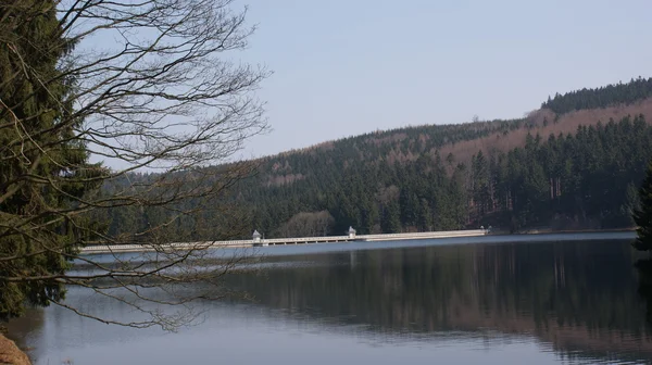 Neunzehnhain dam w erzgebirge — Zdjęcie stockowe