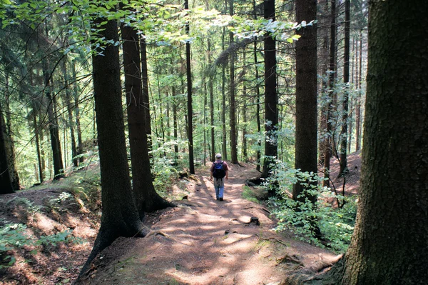 Hiking in the Erzgebirge — Stock Photo, Image