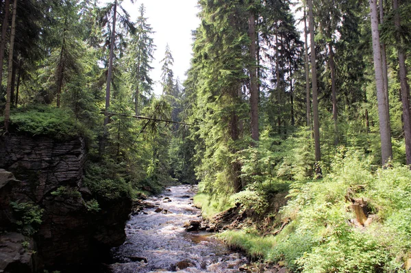 Vale extremamente romântico em Erzgebirge, Alemanha — Fotografia de Stock
