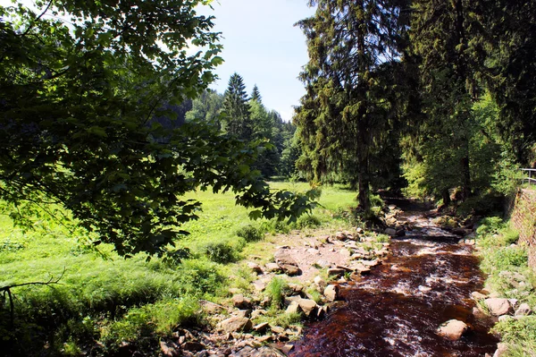 Hike in the Erzgebirge, Germany — Stock Photo, Image