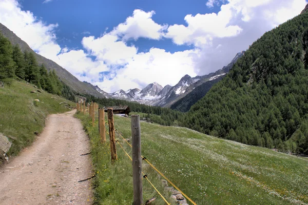 Merano magas hegyi ösvény, Olaszország — Stock Fotó