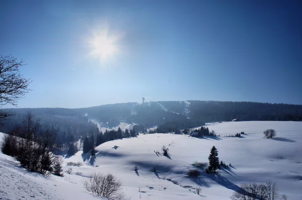 Зимнее солнце в Эрцгебирге — стоковое фото