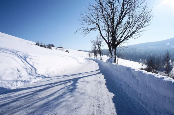Een weg in de winter — Stockfoto