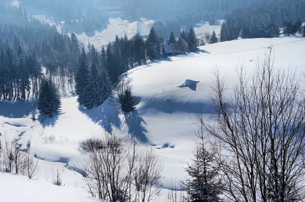 체코 공화국에서 눈 덮인 계곡 — 스톡 사진
