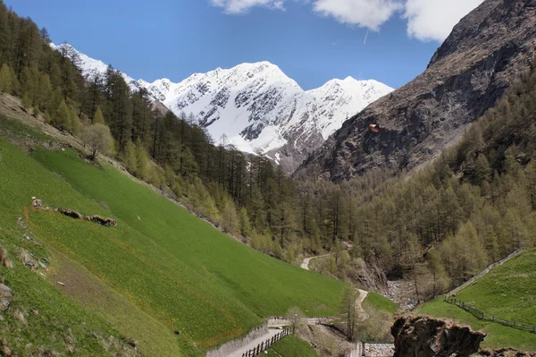 South tyrol içinde merano yüksek dağ izi — Stok fotoğraf