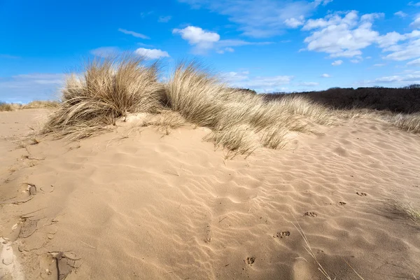 Sandy dune with dry grass — Stock Photo, Image