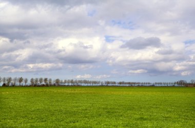 Groningen düz yatay