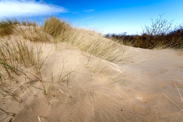 Dune with grass — Stock Photo, Image