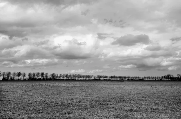 stock image Plain landscape in Groningen