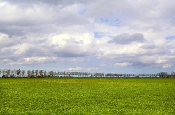 Plain landscape in Groningen — Stock Photo, Image