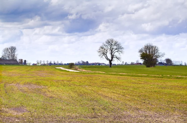 Dutch field and stormy sky — Stock Photo, Image