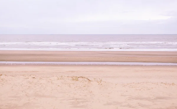海とビーチの背景 — ストック写真