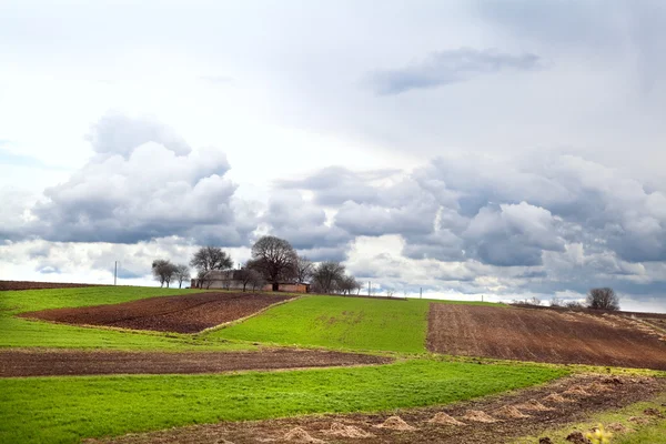 Villaggio ucraino con campi arati — Foto Stock