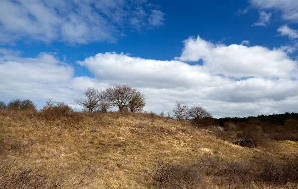 Vahşi ekilmemiş hill — Stok fotoğraf