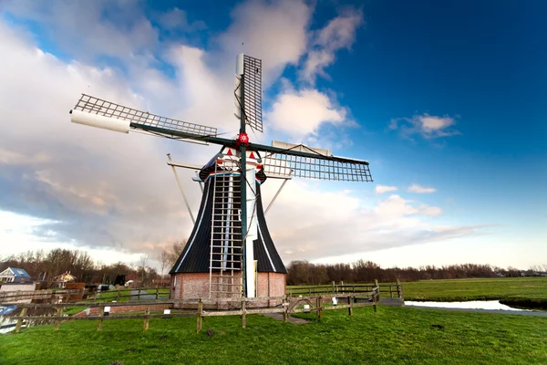 Традиционная голландская мельница — стоковое фото