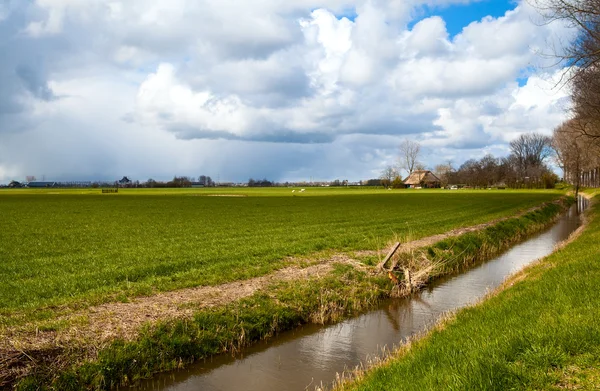 Jordbruksmark och vacker himmel — Stockfoto