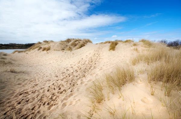 Path in the dunes — Stock Photo, Image