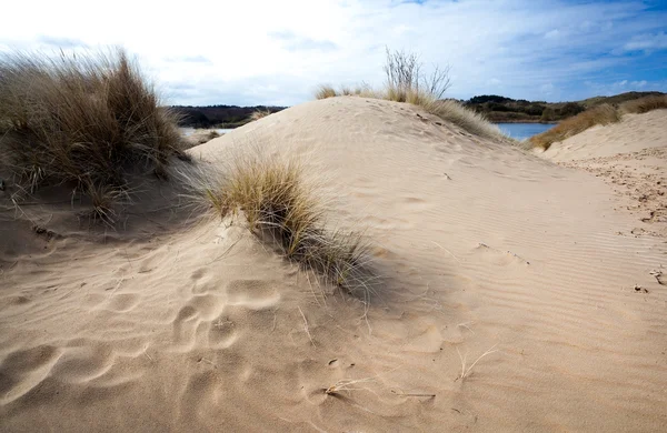 Arena y viento — Foto de Stock