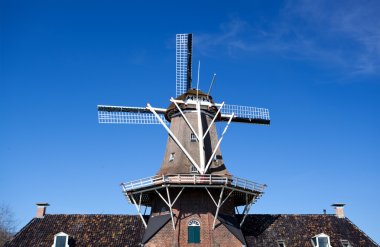 Hollanda Yeldeğirmeni