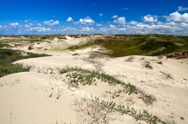 Sand dunes in Zandvoort aan zee clipart