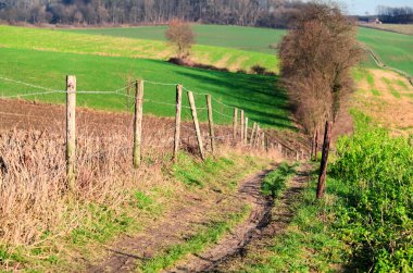 Rural path through the fields clipart