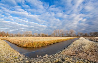 Typical Dutch landscape clipart