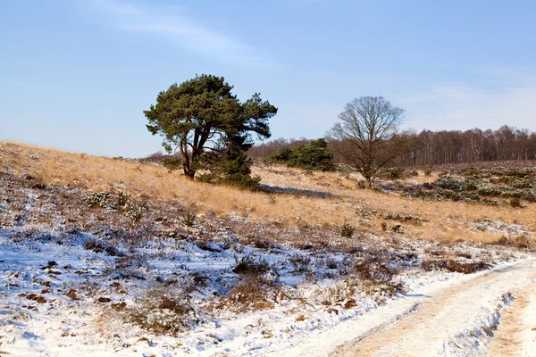 Gå mellan vinter hills — Stockfoto