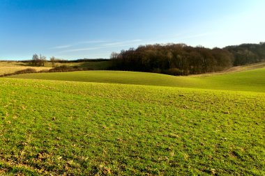 Lamdscape with hills and bright sky clipart