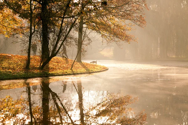 Осенний рассвет в парке — стоковое фото