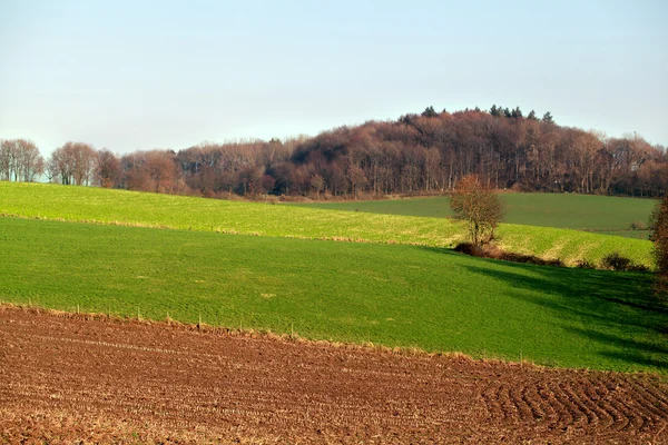Пейзаж с полями — стоковое фото