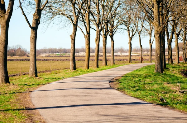 stock image Road for bicycles