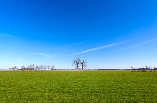 Tranquil view with two trees — Stock Photo, Image