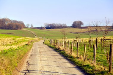 limburg içinde kırsal yol