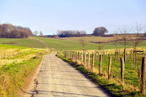 Limburg içinde kırsal yol — Stok fotoğraf
