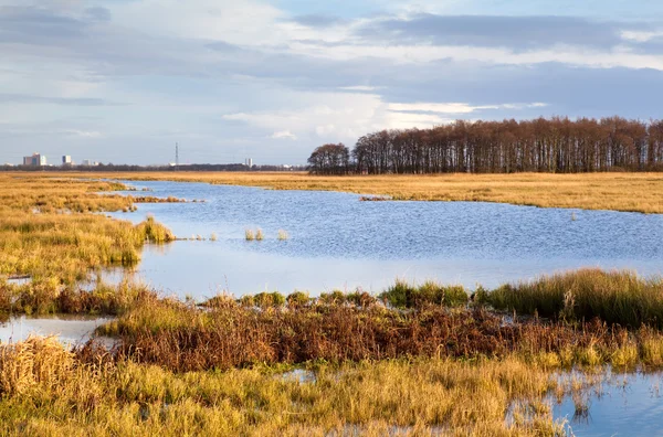 Vanligt landskap med vatten — Stockfoto