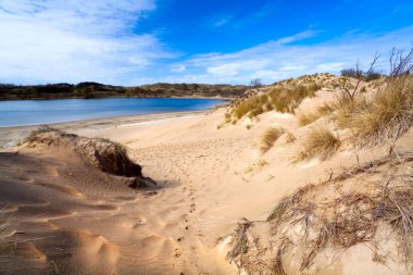 Bright sandy hills and lake clipart