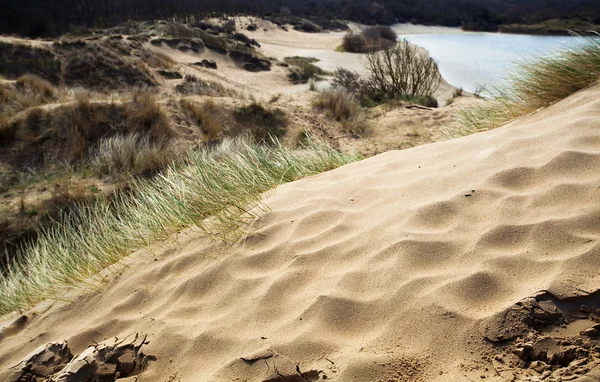Kumlu dune — Stok fotoğraf