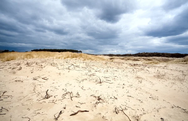 暴风雨前的沙地沙漠 — 图库照片