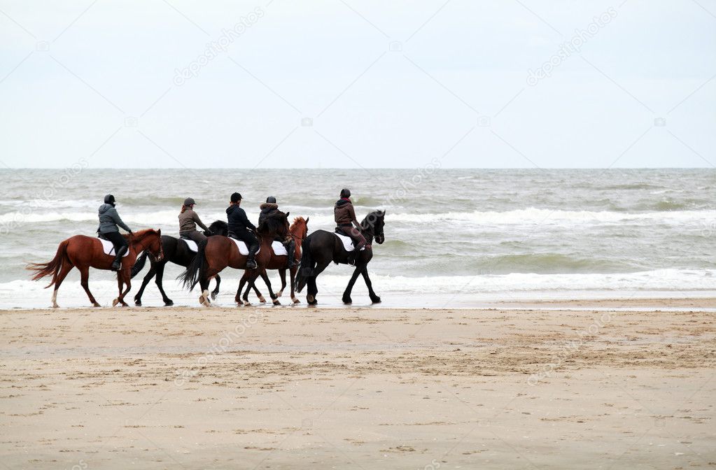 Group riding close to sea