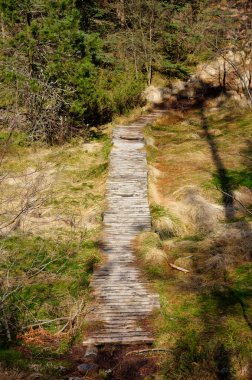 Wooden pathway clipart