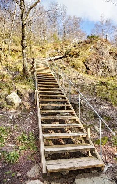 Stairway in nature — Stock Photo, Image