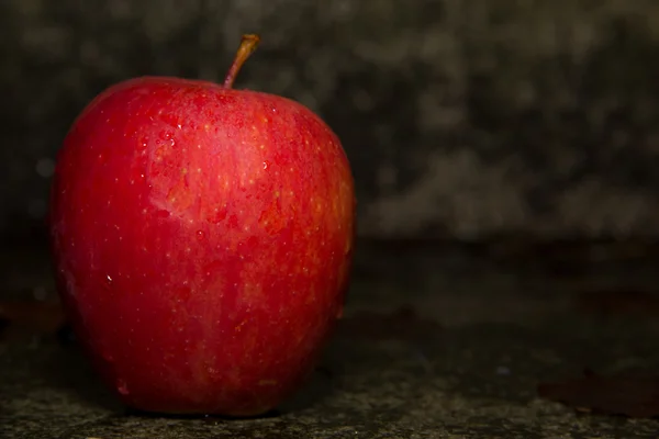 Rött äpple på marken — Stockfoto
