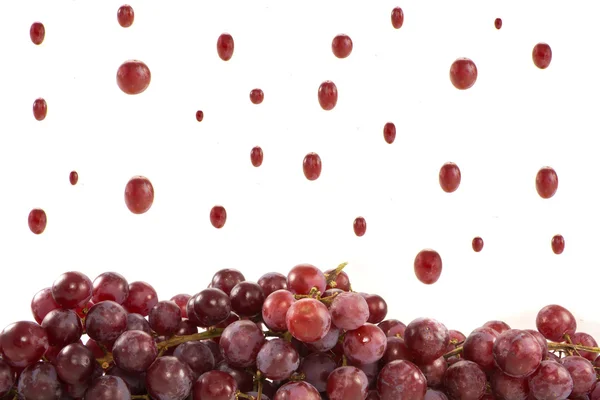 Deszcz winogron — Zdjęcie stockowe