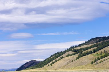 Grand Teton Ulusal Parkı